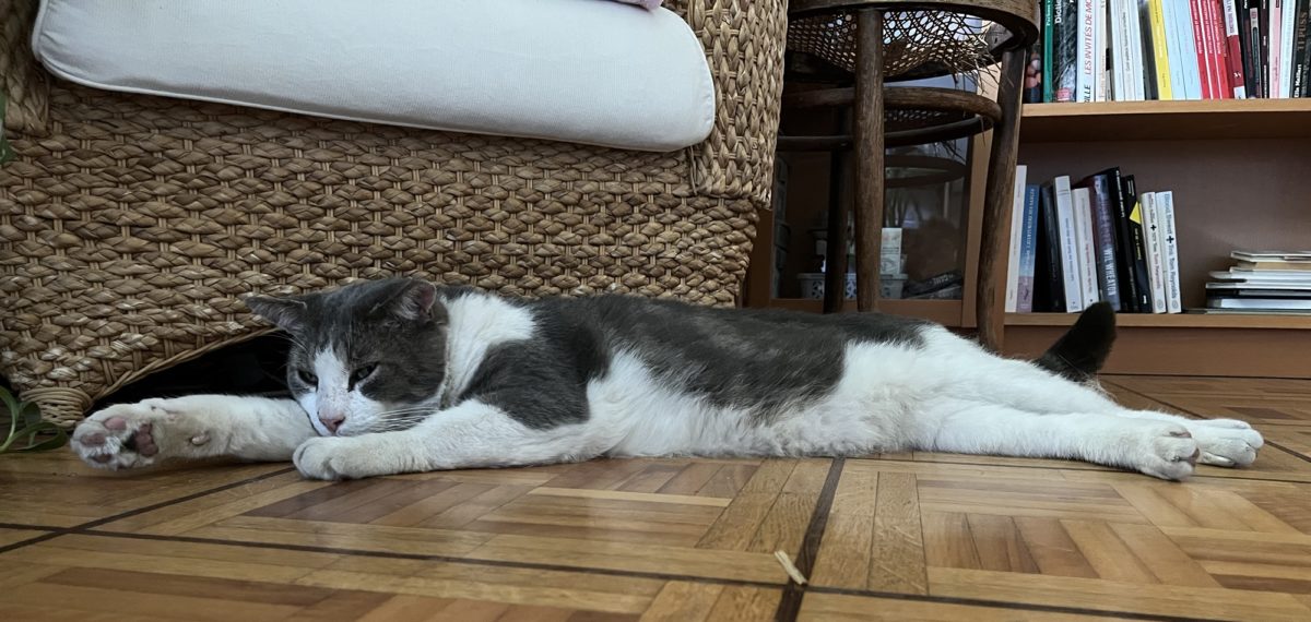 Il fait trop chaud [en]